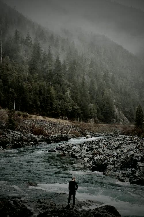 Niebla